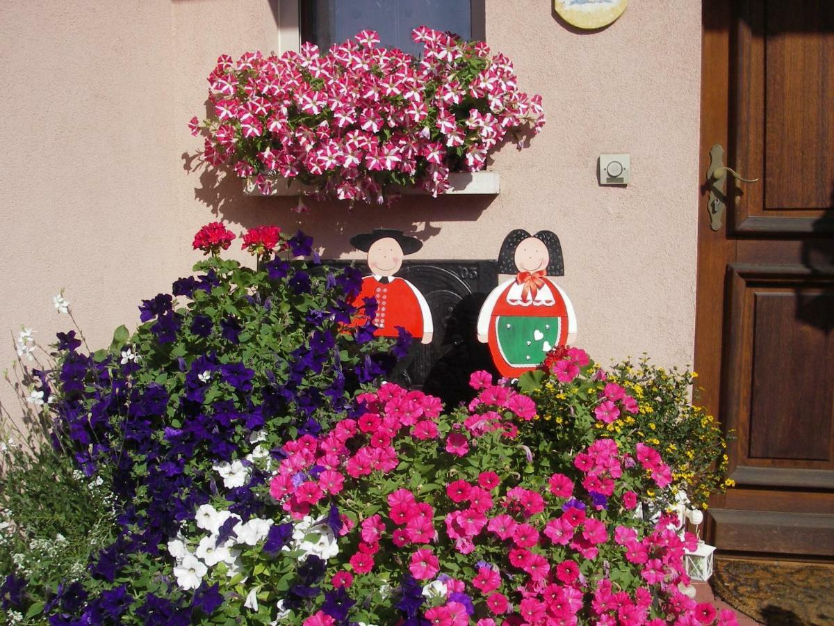 Gite Violette Et Pierrot Masevaux-Niederbruck Dış mekan fotoğraf